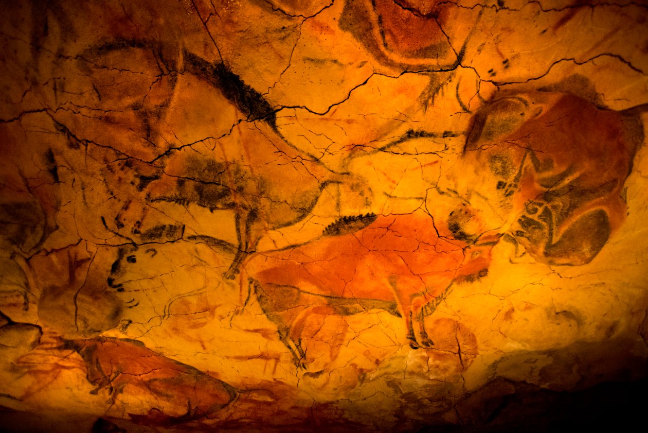 Malarstwo żubra w jaskiniach Altamira, muzeum górnego paleolitu, Santander, Kantabria, Hiszpania autorstwa Unknown