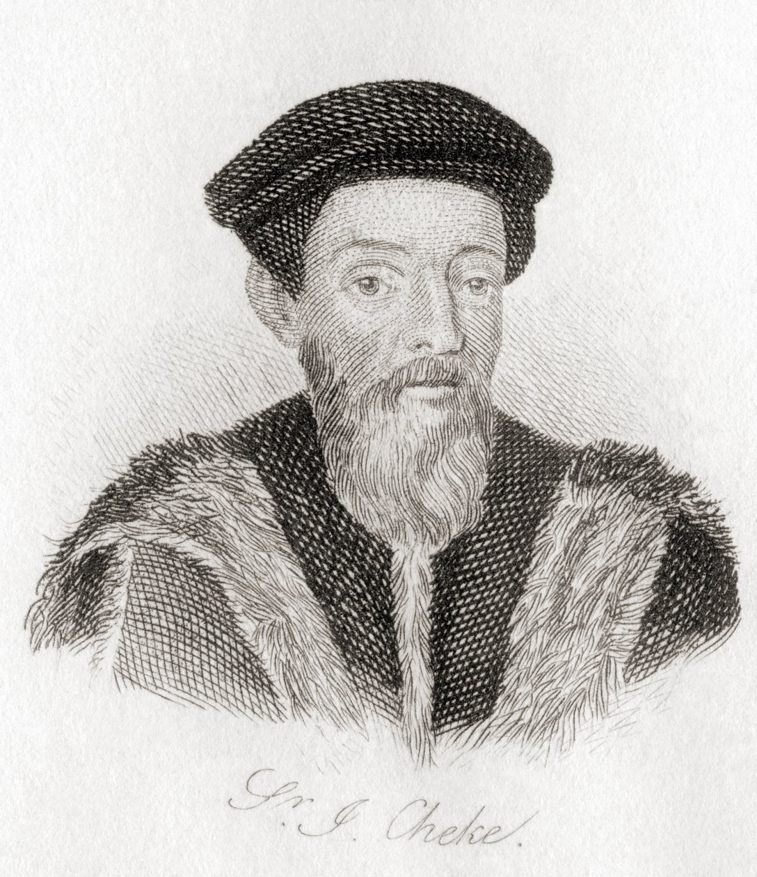Sir John Cheke, 1514 ? 1557. autorstwa Unknown