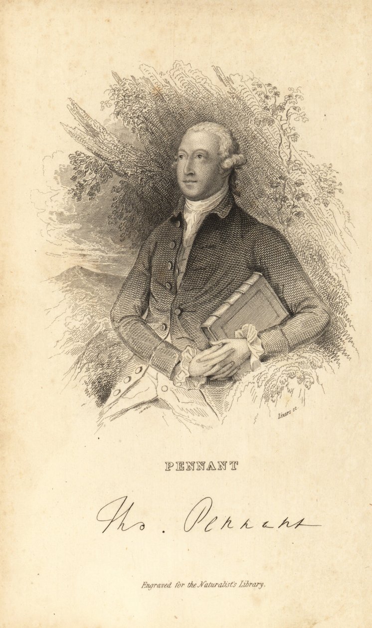 Thomas Pennant, walijski przyrodnik, pisarz i antykwariusz, 1726-1798 autorstwa Unknown