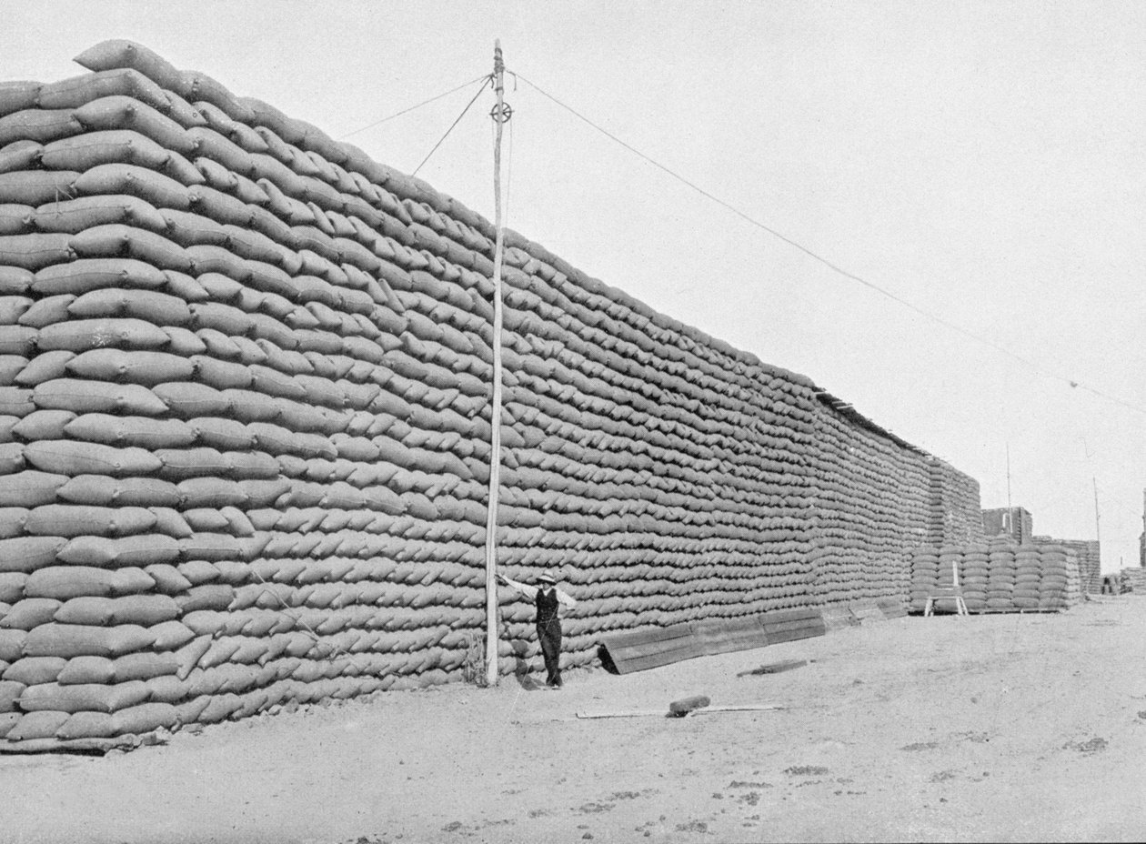 125 000 worków pszenicy oczekujących na wysyłkę, Południowa Australia, ok. 1900, z „Under the Southern Cross – Glimpses of Australia”, opublikowanej przez Department of External Affairs, Melbourne, 1908 (bw photo) autorstwa Australian Photographer