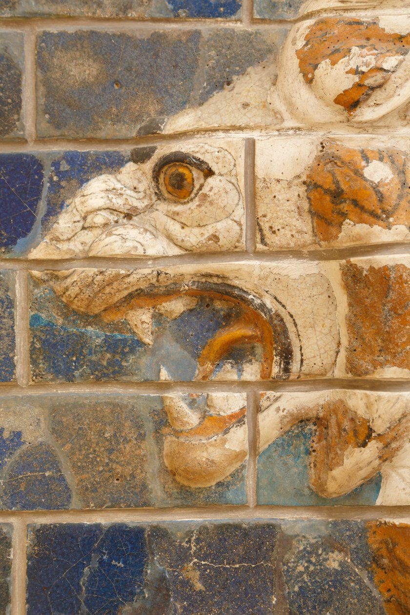 Stambuł, Turcja. Muzeum Archeologiczne. Glazurowany ceglany lew w reliefie z ulicy procesji, Babilon, datowany na okres Nabuchodonozora II około 604-562 pne. autorstwa Unknown