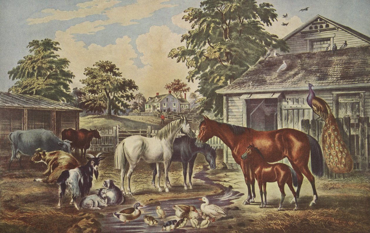 American Farm Yard - rano, wyd. 1857, Currier i Ives autorstwa American School