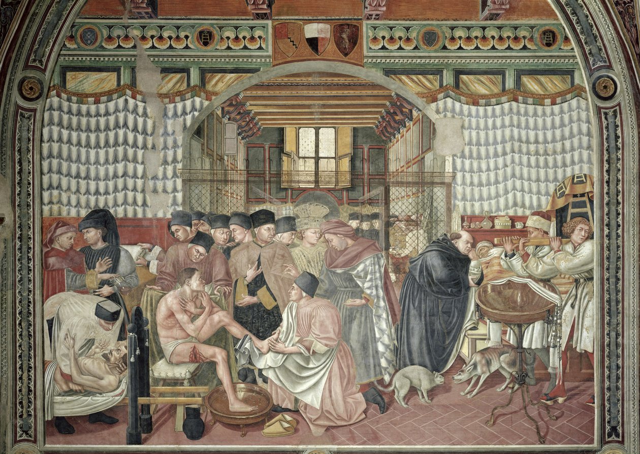 Opieka nad chorymi, 1440-41 autorstwa Domenico di Bartolo