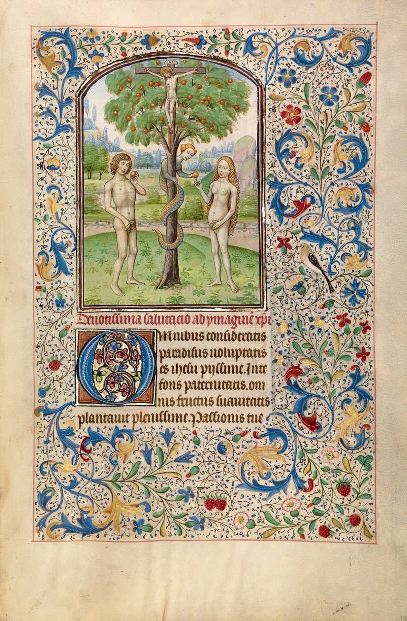 Adam i Ewa jedzący zakazany owoc, początek 1460 (tempera, złoty liść i tusz na pergaminie) autorstwa Flemish School
