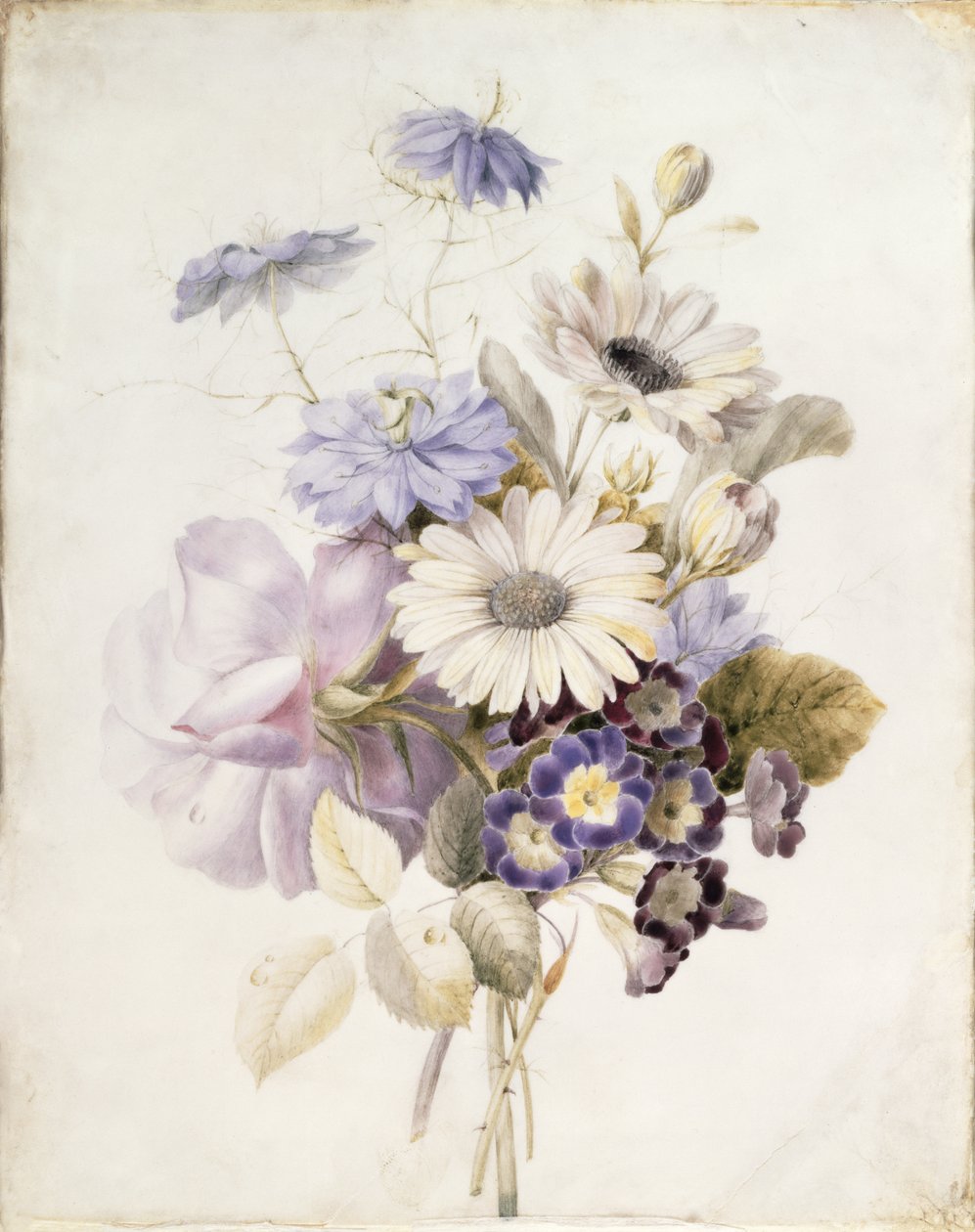 Kwiaty ze stokrotkami, 1840 (wc na papierze) autorstwa French School