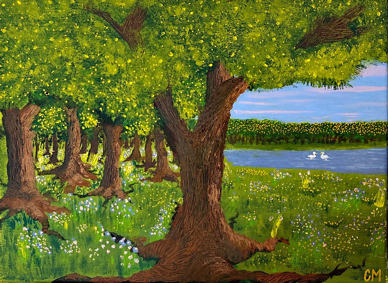 Jezioro łabędzie autorstwa MadebyCeline