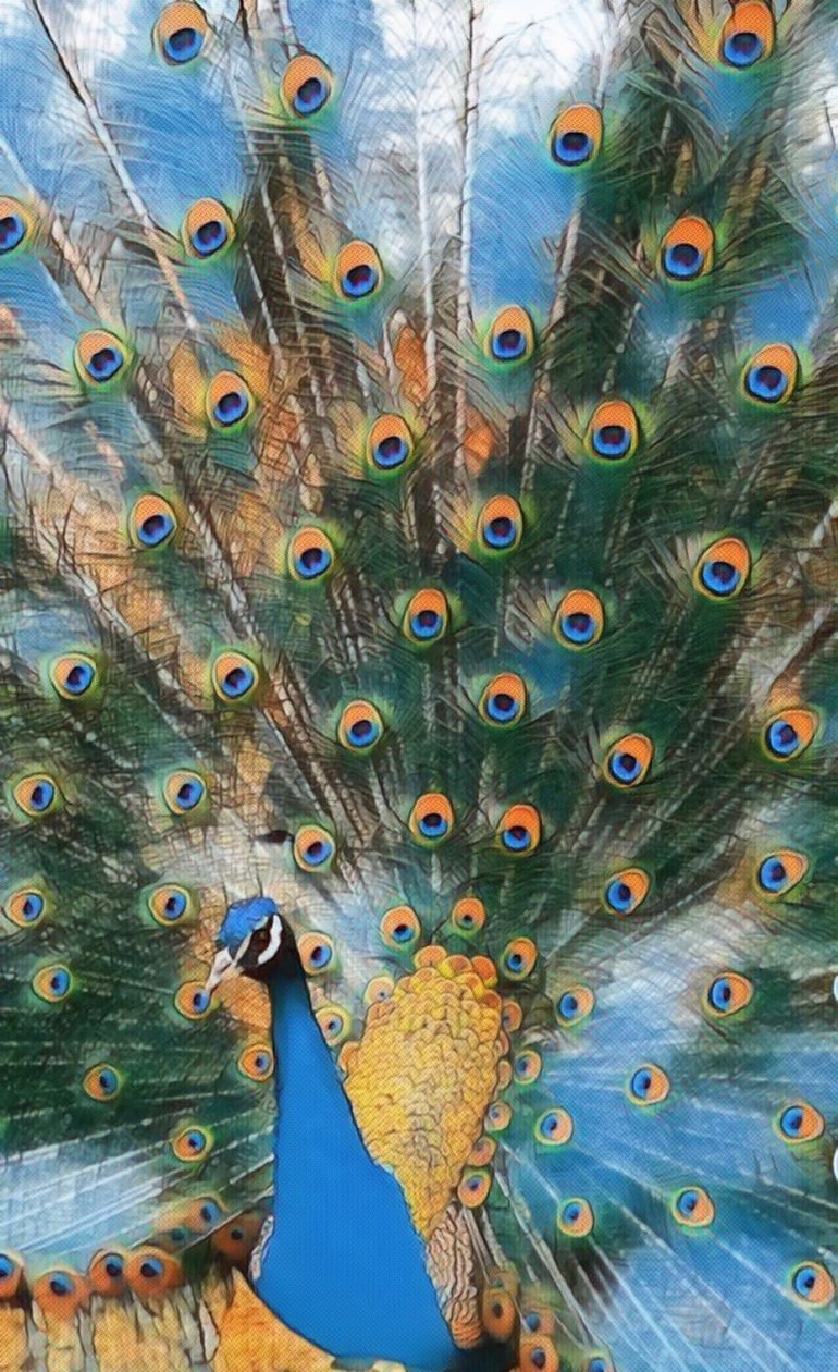 Pavo Real. autorstwa Margareta Uliarte