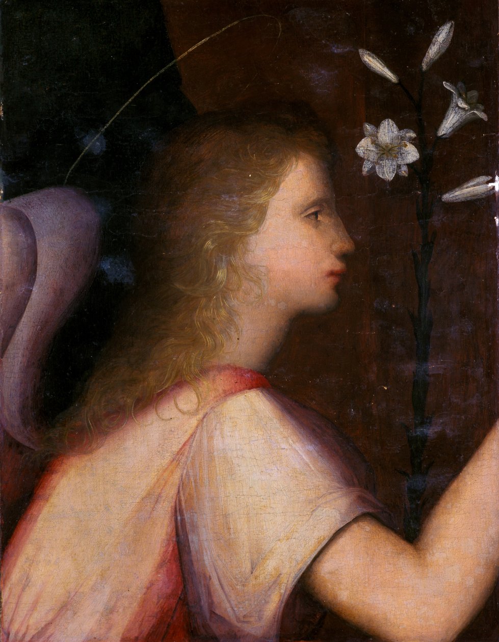 Archanioł Gabriel (tempera na drewnie) autorstwa A. 1485 c.1525 Piccinelli