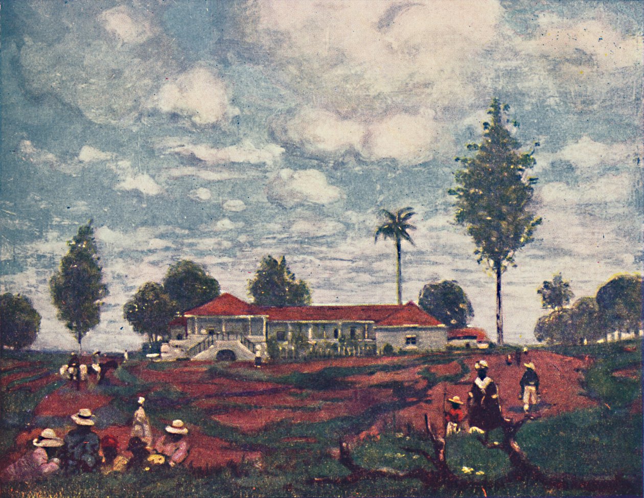 Farma kawy, 1916 autorstwa A. S. Forrest