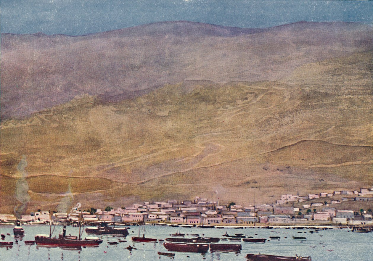 Arica, 1916 autorstwa A. S. Forrest