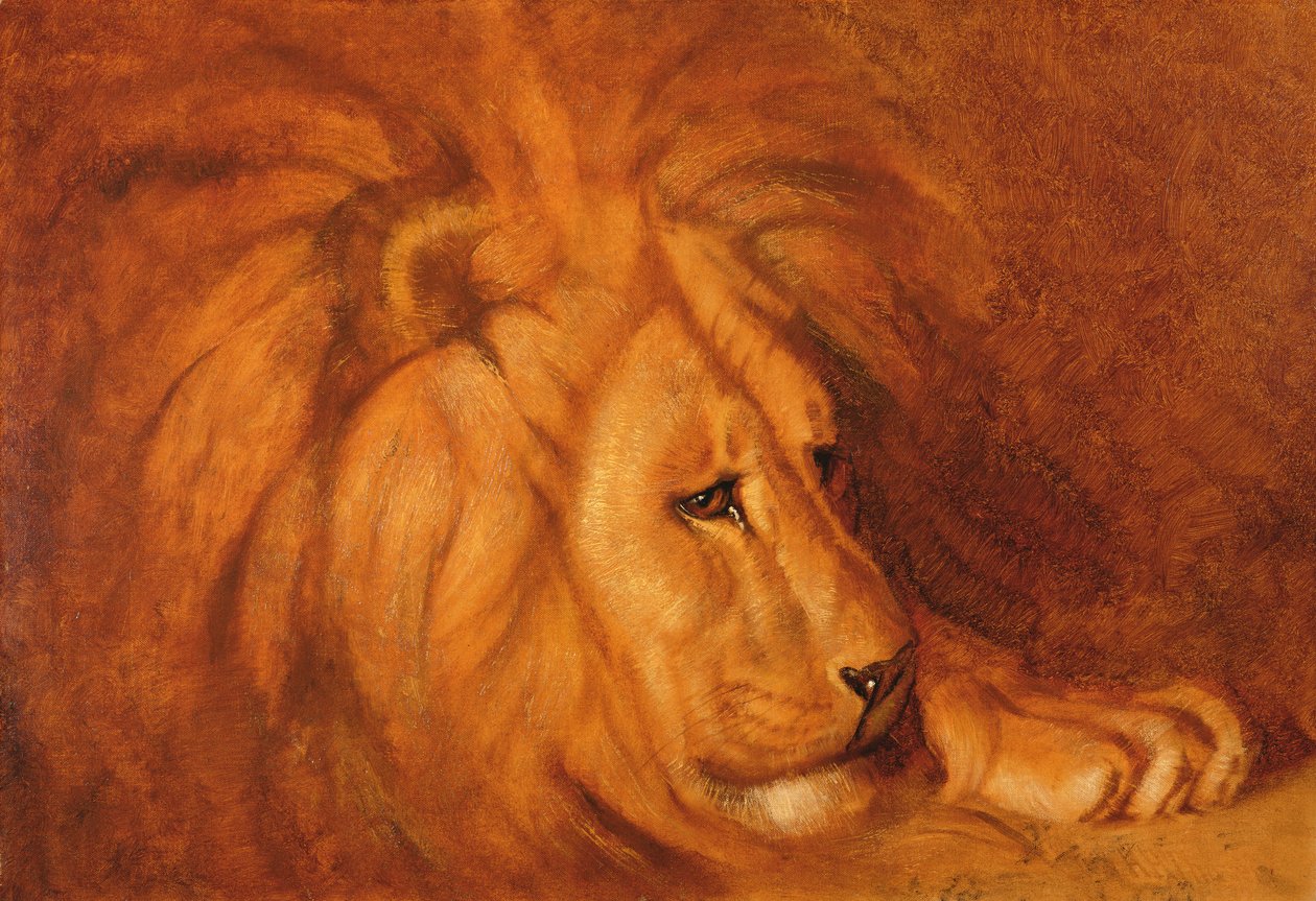 Lew w spoczynku (olej na płótnie) autorstwa Abbott Handerson Thayer