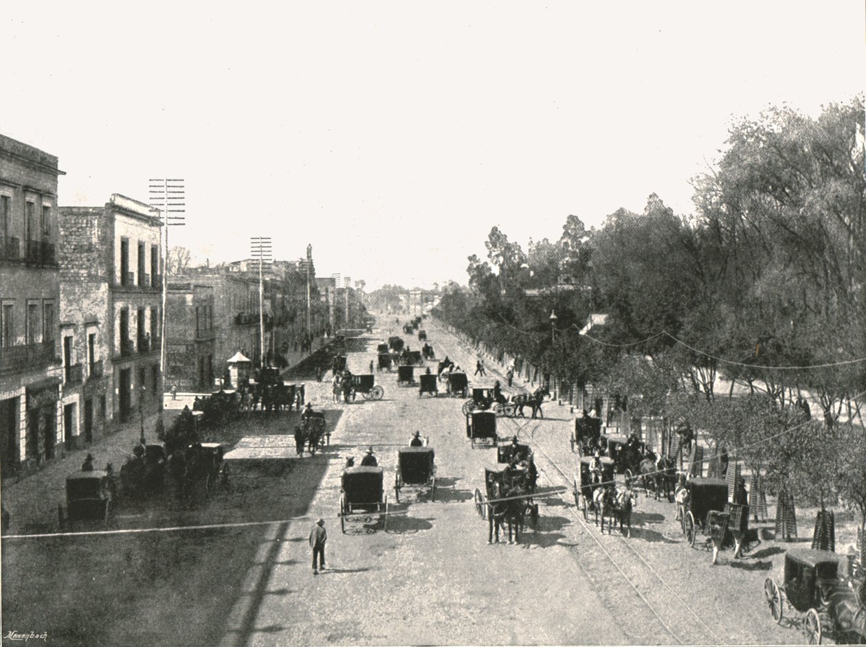 Juarez Avenue, Meksyk, Meksyk, 1895. autorstwa Abel Briquet