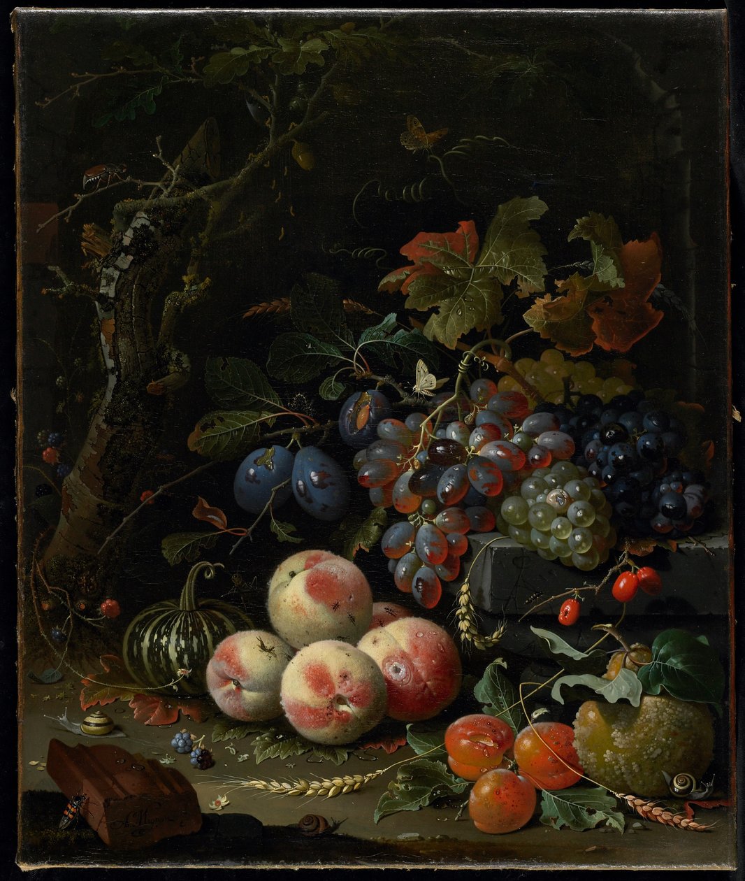 Martwa natura z owocami, liśćmi i owadami, c.1669 autorstwa Abraham Mignon