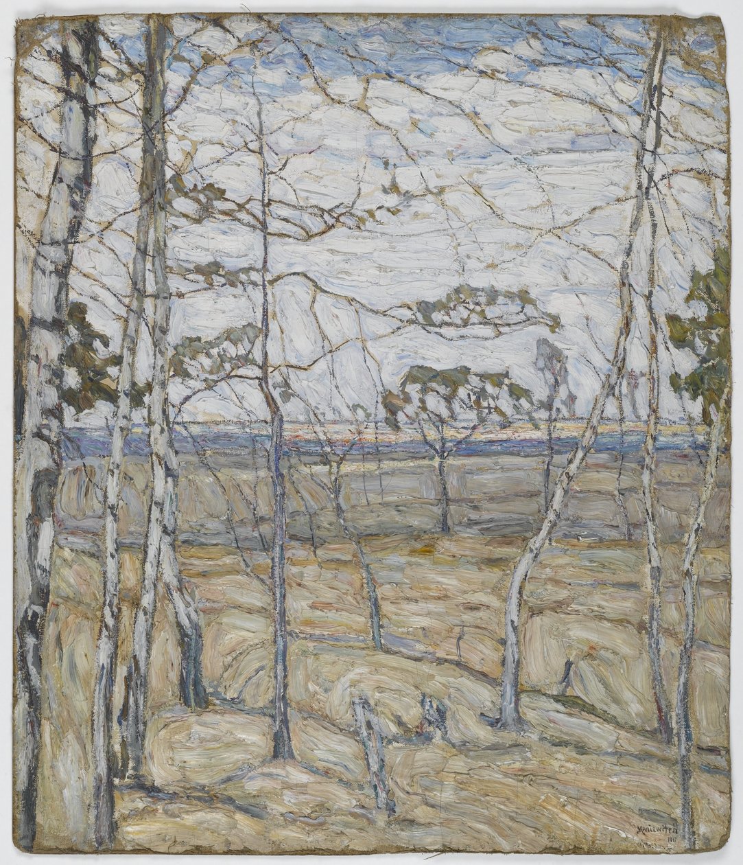 Brzozy autorstwa Abraham Manievich