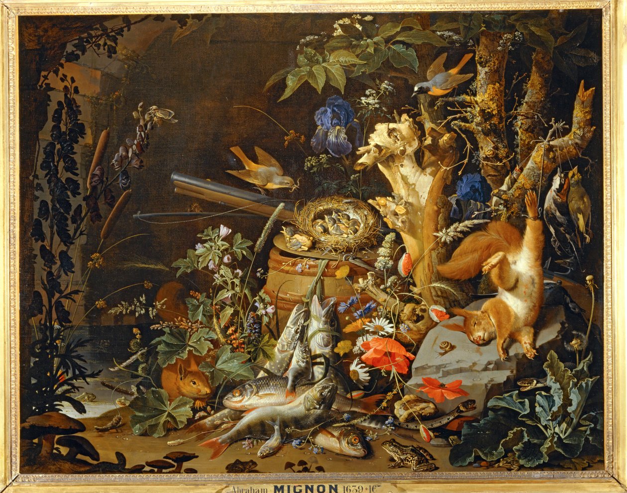 Gniazdo zięby ... autorstwa Abraham Mignon