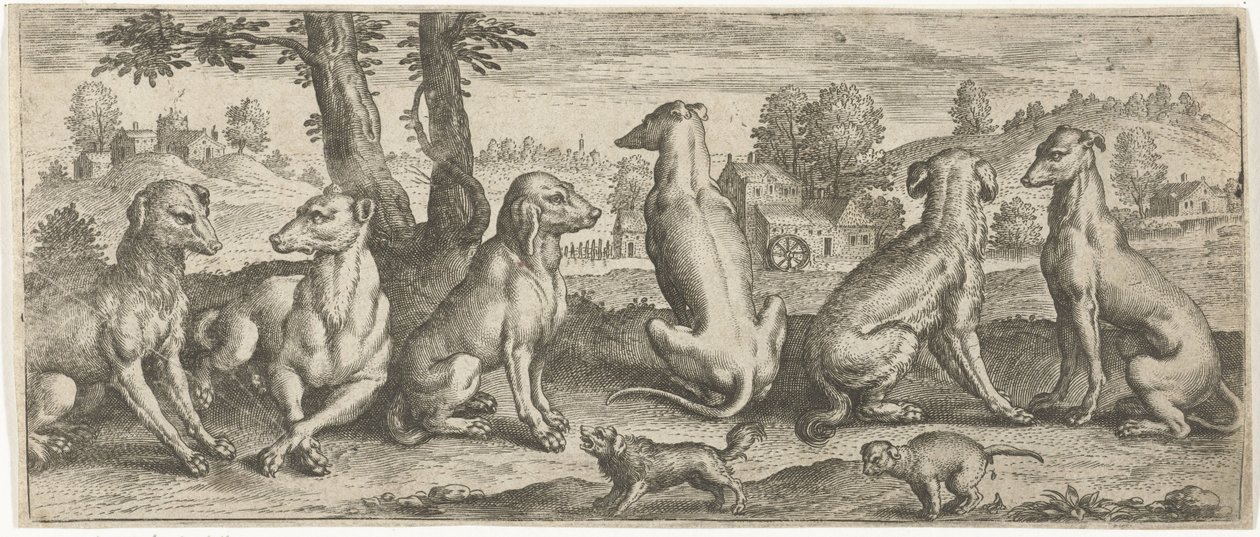 psy Zwierzęta (tytuł serii) autorstwa Abraham de Bruyn (possibly)