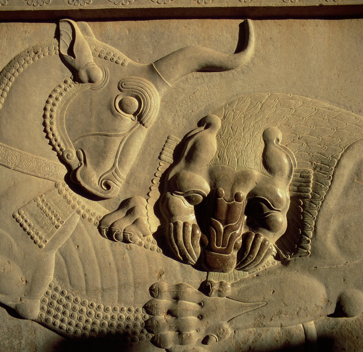 Okrutny lew atakujący byka, płaskorzeźba z północnej fasady schodów w Tripylon, 500-480 p.n.e. autorstwa Achaemenid