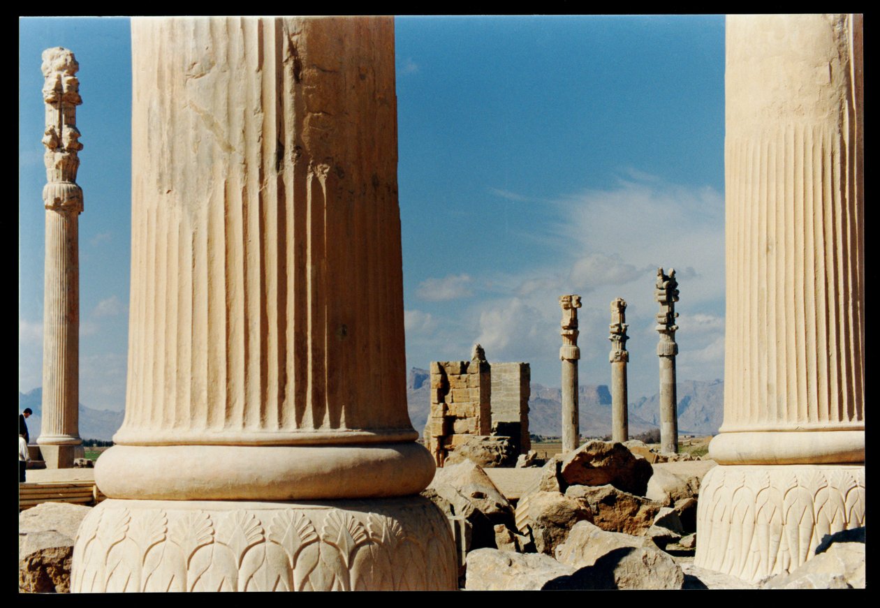 Kolumny ze wschodniego portyku Apadany, ok. 500-480 p.n.e. autorstwa Achaemenid