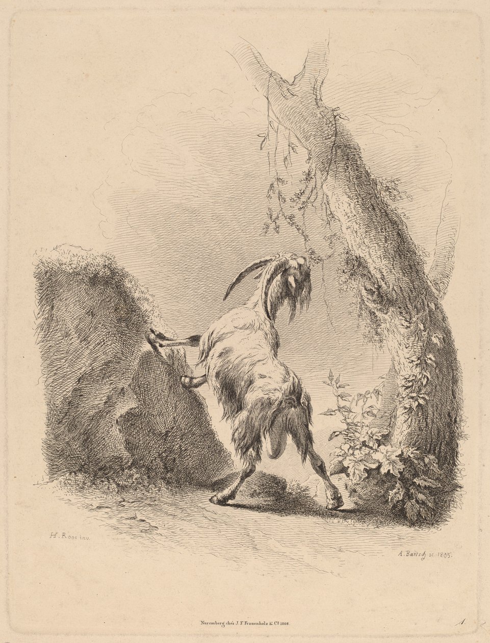 Koza w krajobrazie, 1805. autorstwa Adam von Bartsch