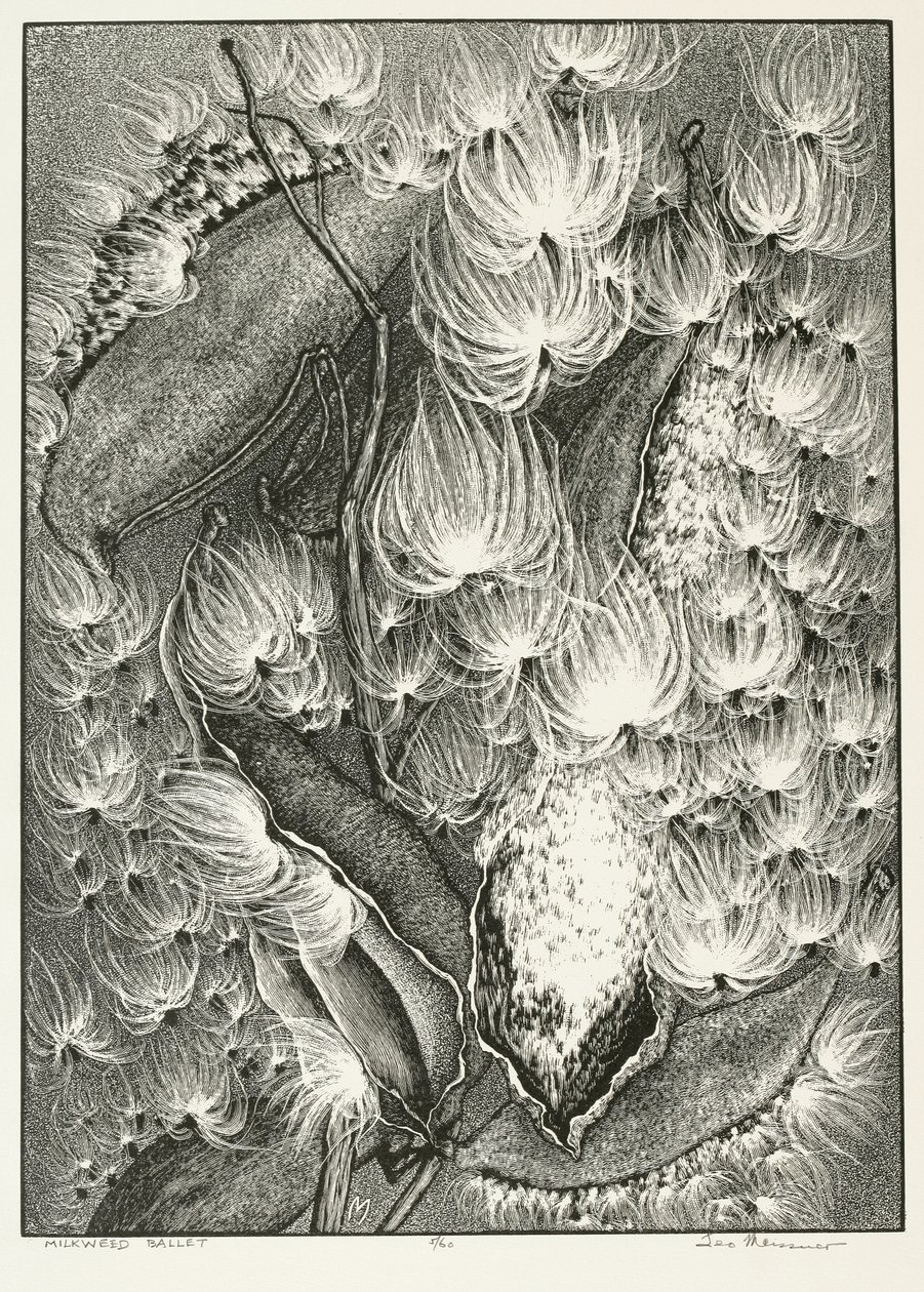 Balet Milkweed autorstwa Adolf Ernst Meissner