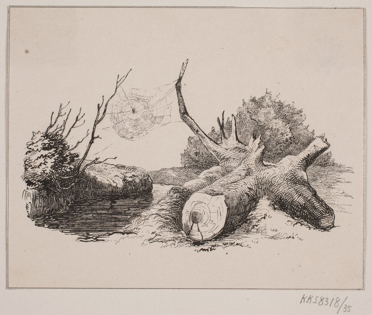 Ederkoppen autorstwa Johan Adolph Kittendorff