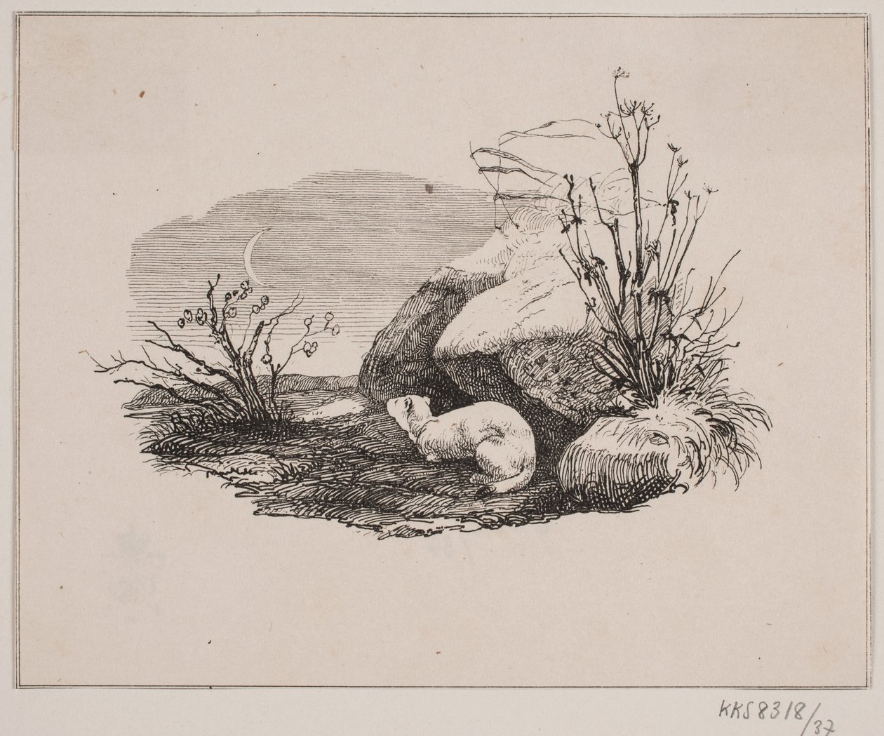 Wyciekający kot autorstwa Johan Adolph Kittendorff