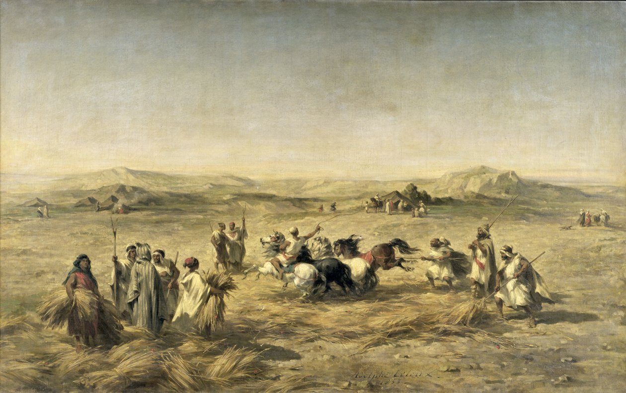 Młócenie pszenicy w Algierii, 1853 r. autorstwa Adolphe Pierre Leleux