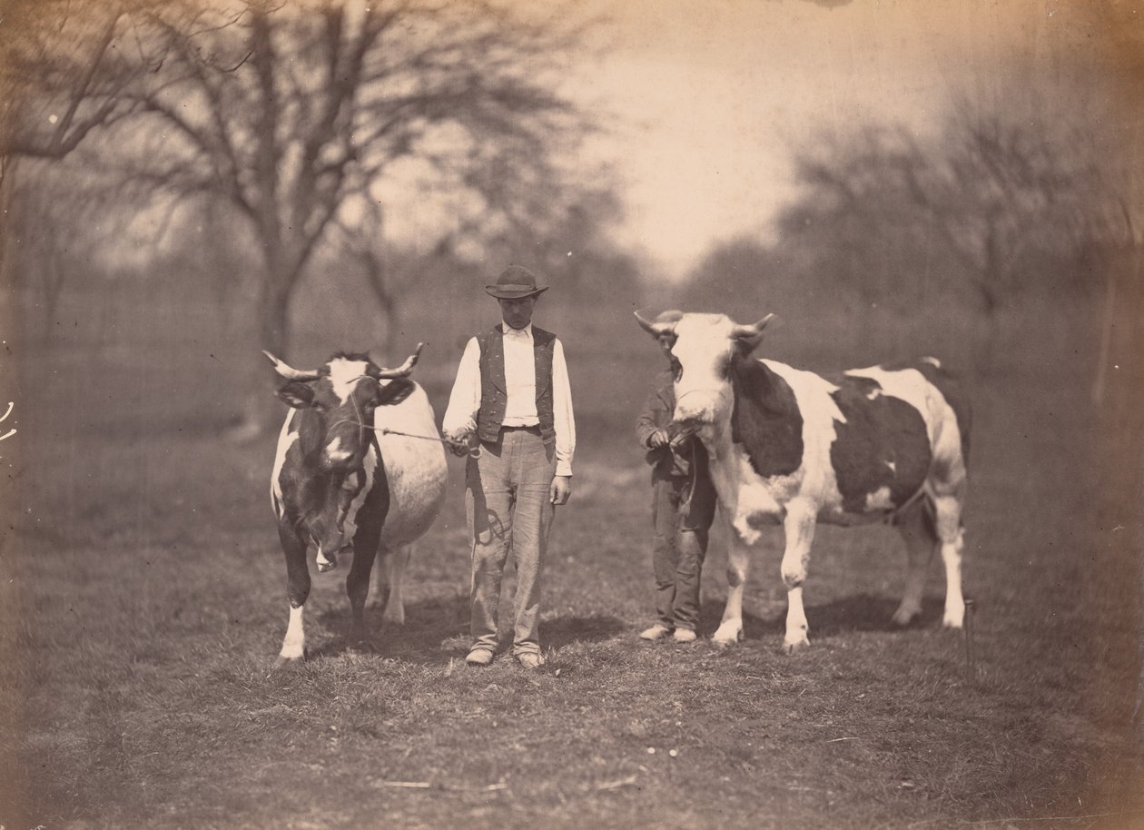 Krajobraz, ok. 1864 (zdjęcie) autorstwa Adolphe Braun