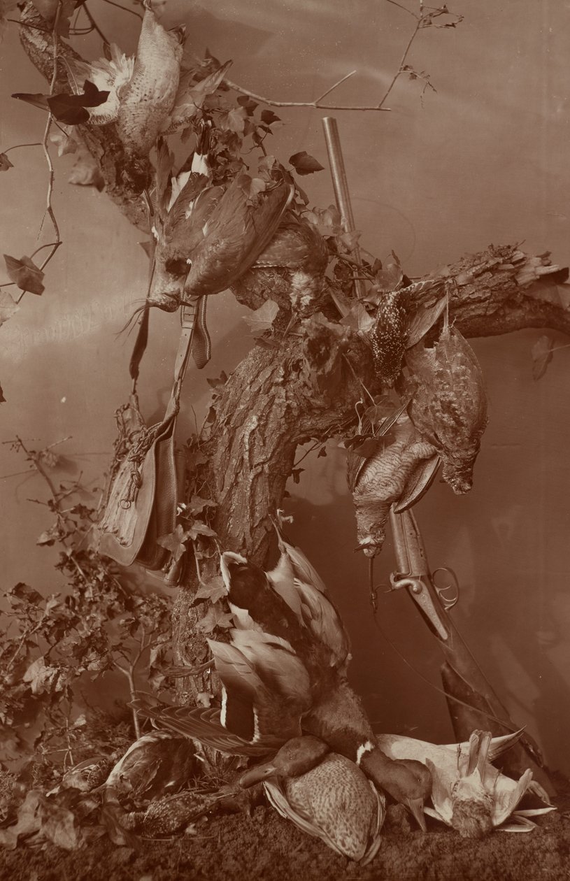[Still Life: Dead Game] autorstwa Adolphe Braun