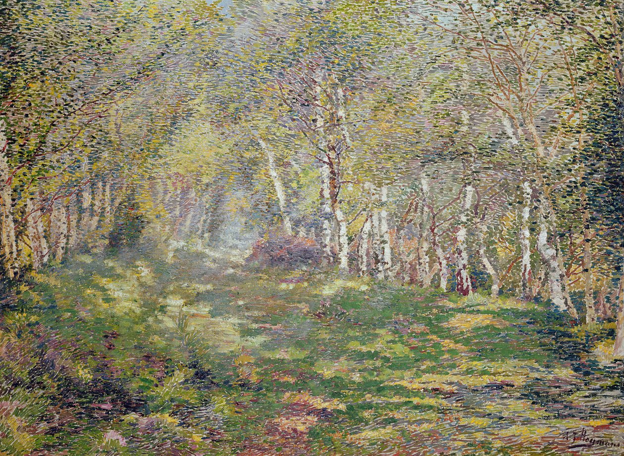 Brzozy srebrne (olej na płótnie) autorstwa Adriaan Josef Heymans