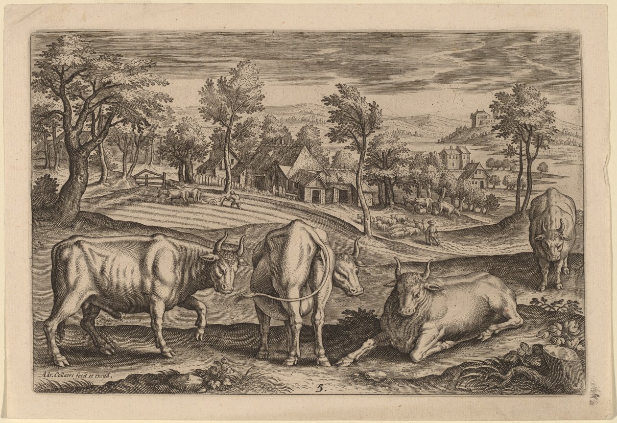 Cztery byki autorstwa Adriaen Collaert