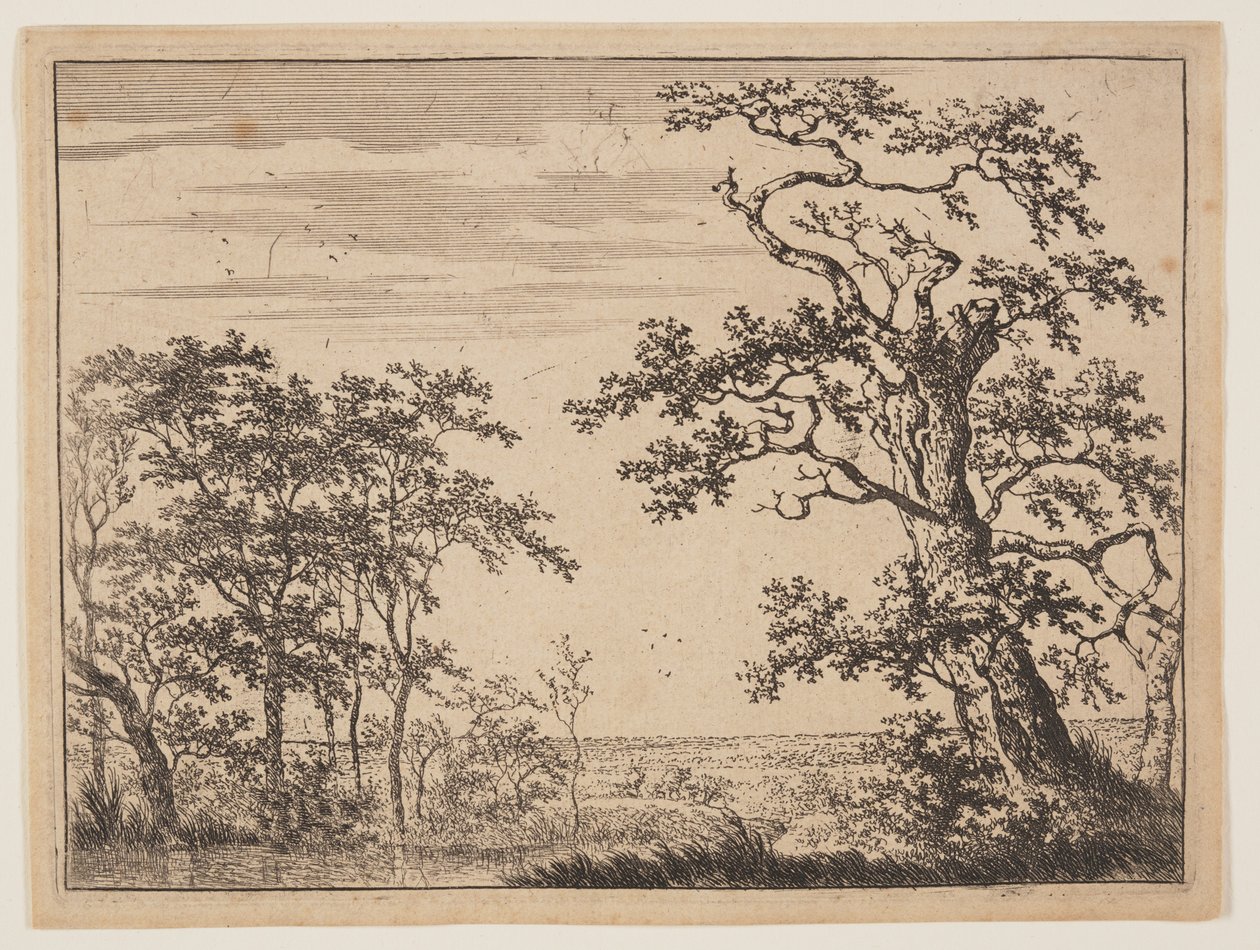 The Pond autorstwa Adriaen Hendricksz. Verboom