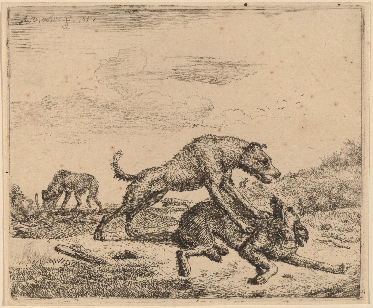 Bojowe psy autorstwa Adriaen van de Velde