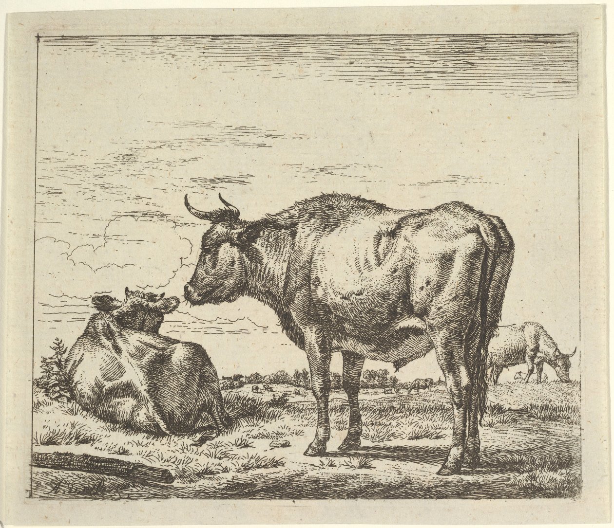 Stojący byk, od różnych zwierząt. autorstwa Adriaen van de Velde