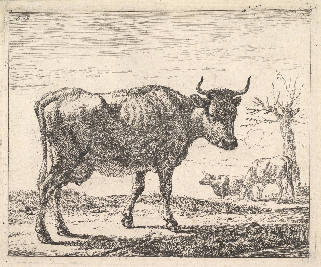 Trzy krowy. autorstwa Adriaen van de Velde