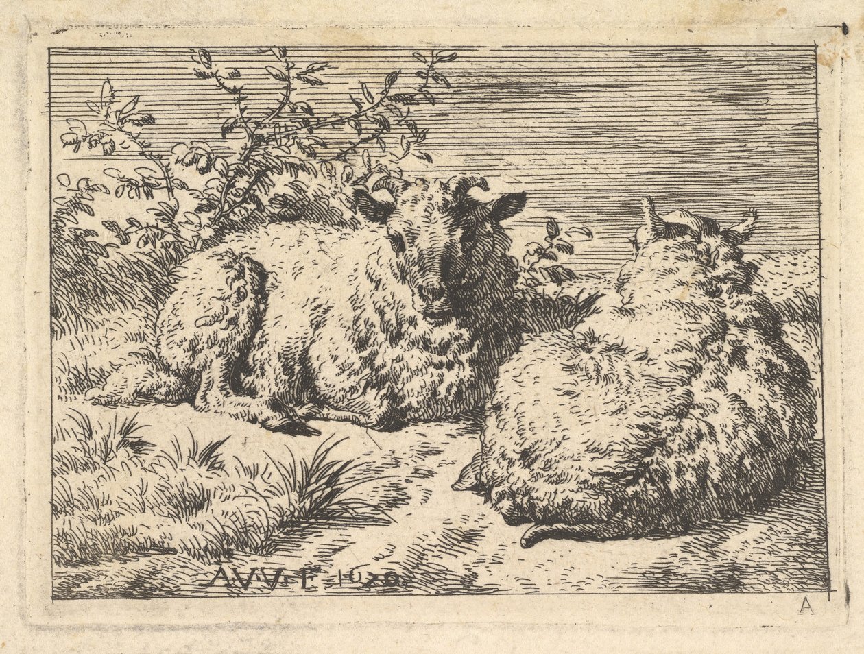 Dwie leżące owce, 1670. autorstwa Adriaen van de Velde