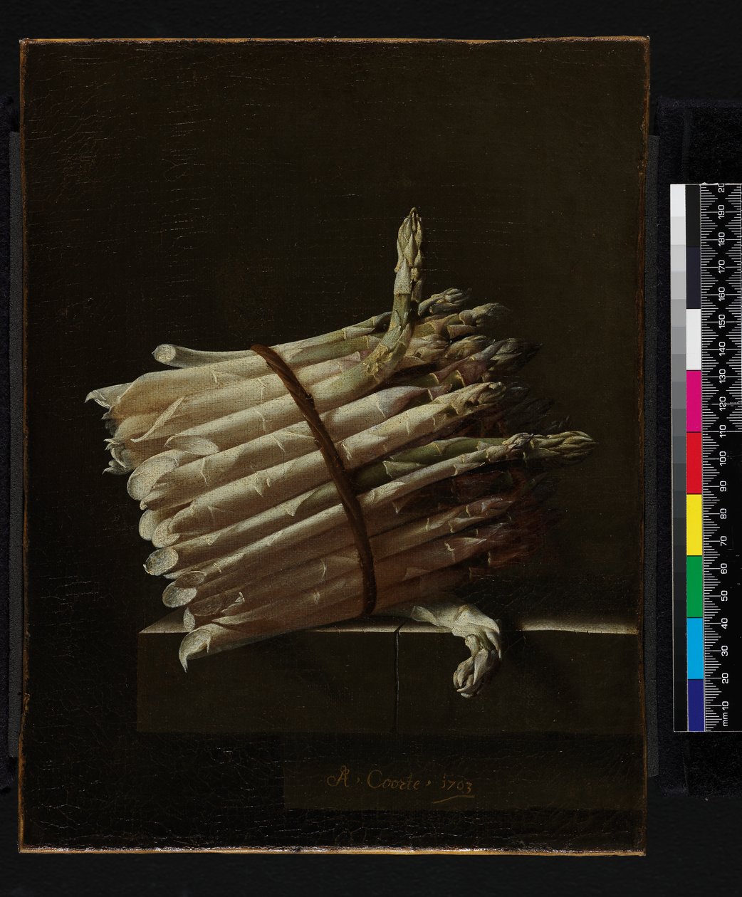 Kiść szparagów, 1703 autorstwa Adrian Coorte