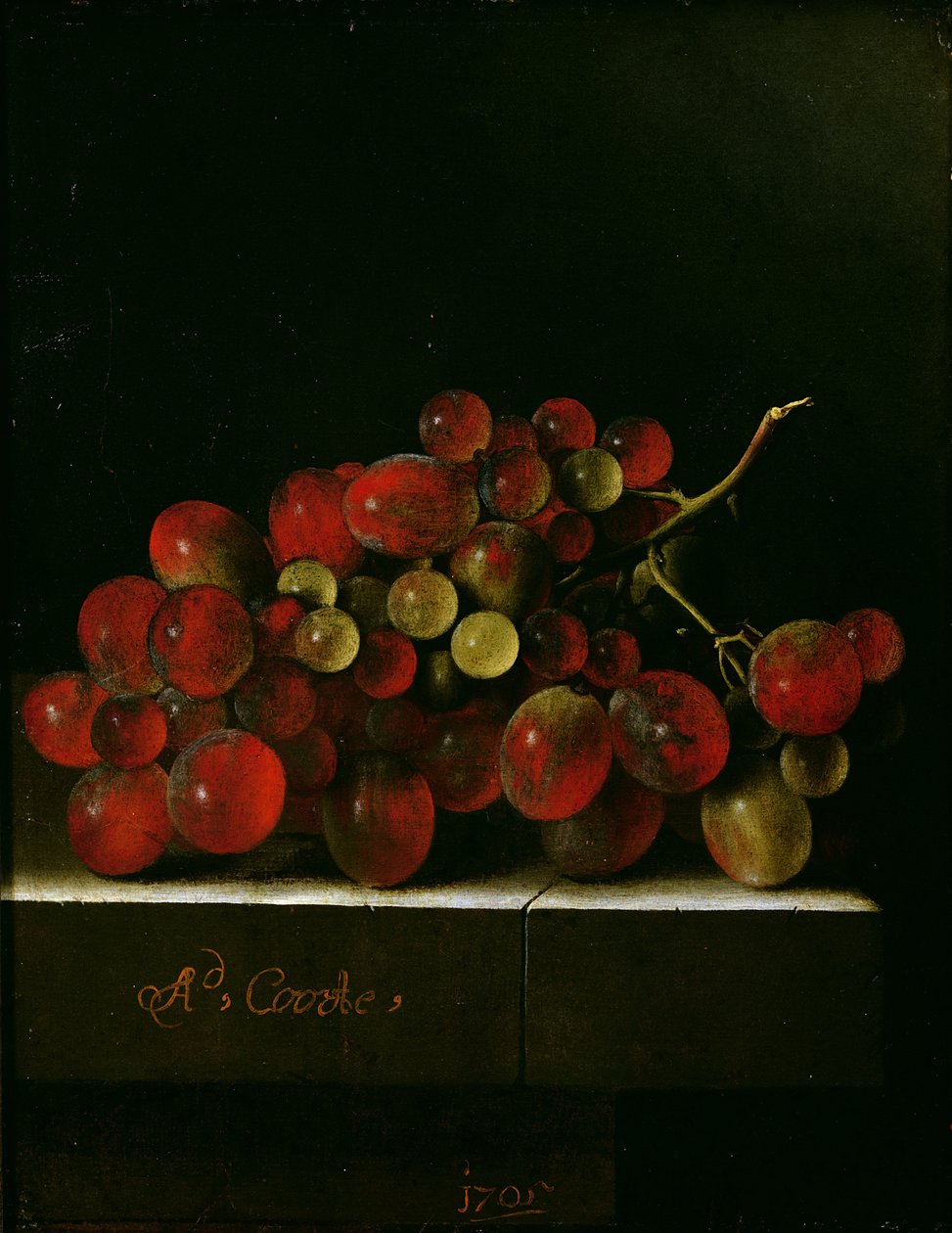 Kiść winogron, 1705 (olej na papierze na desce) autorstwa Adrian Coorte
