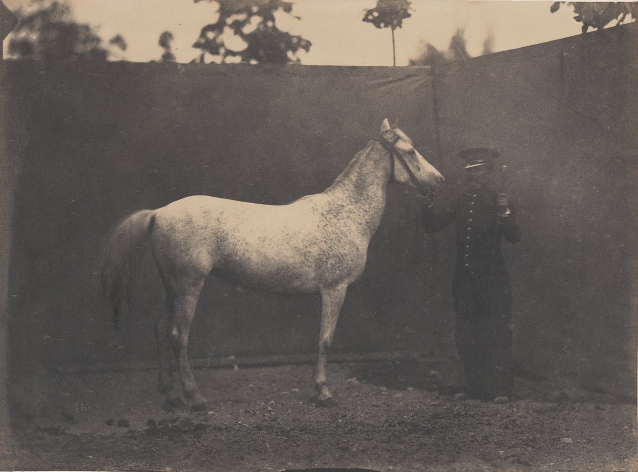 Paskalina, ca. 1855-60. autorstwa Adrien Alban Tournachon