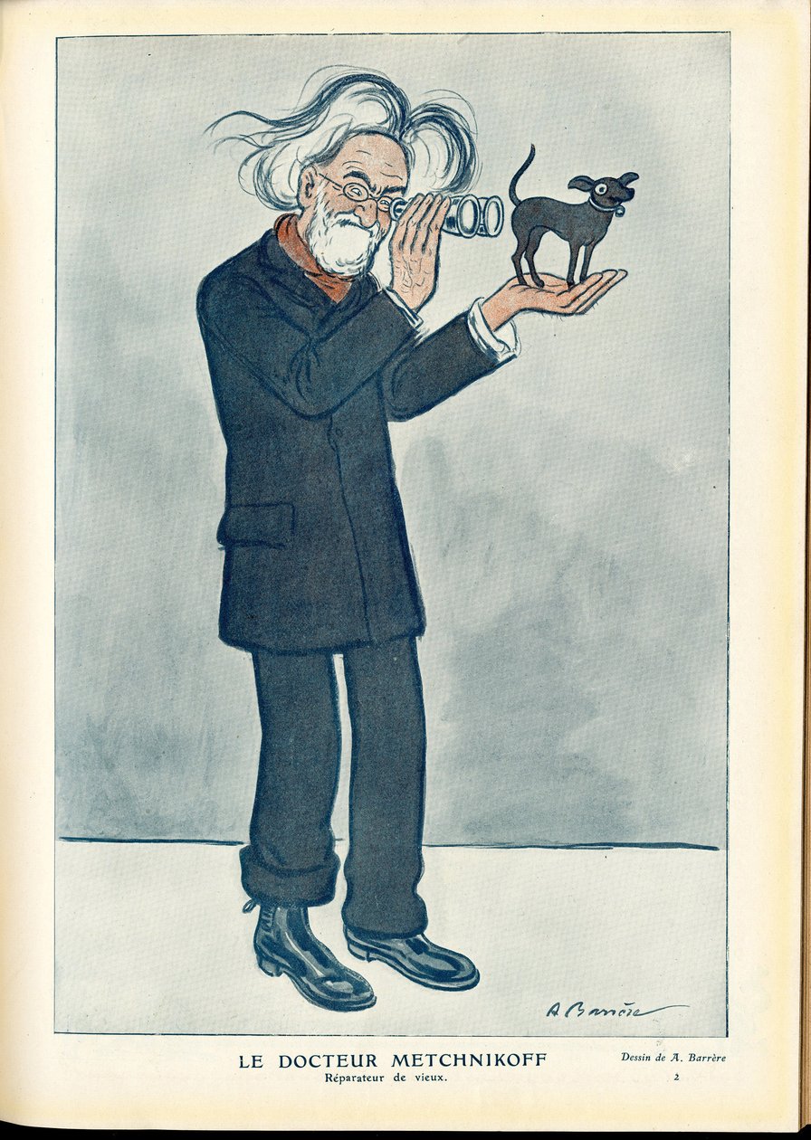 Fantasio autorstwa Adrien Barrere
