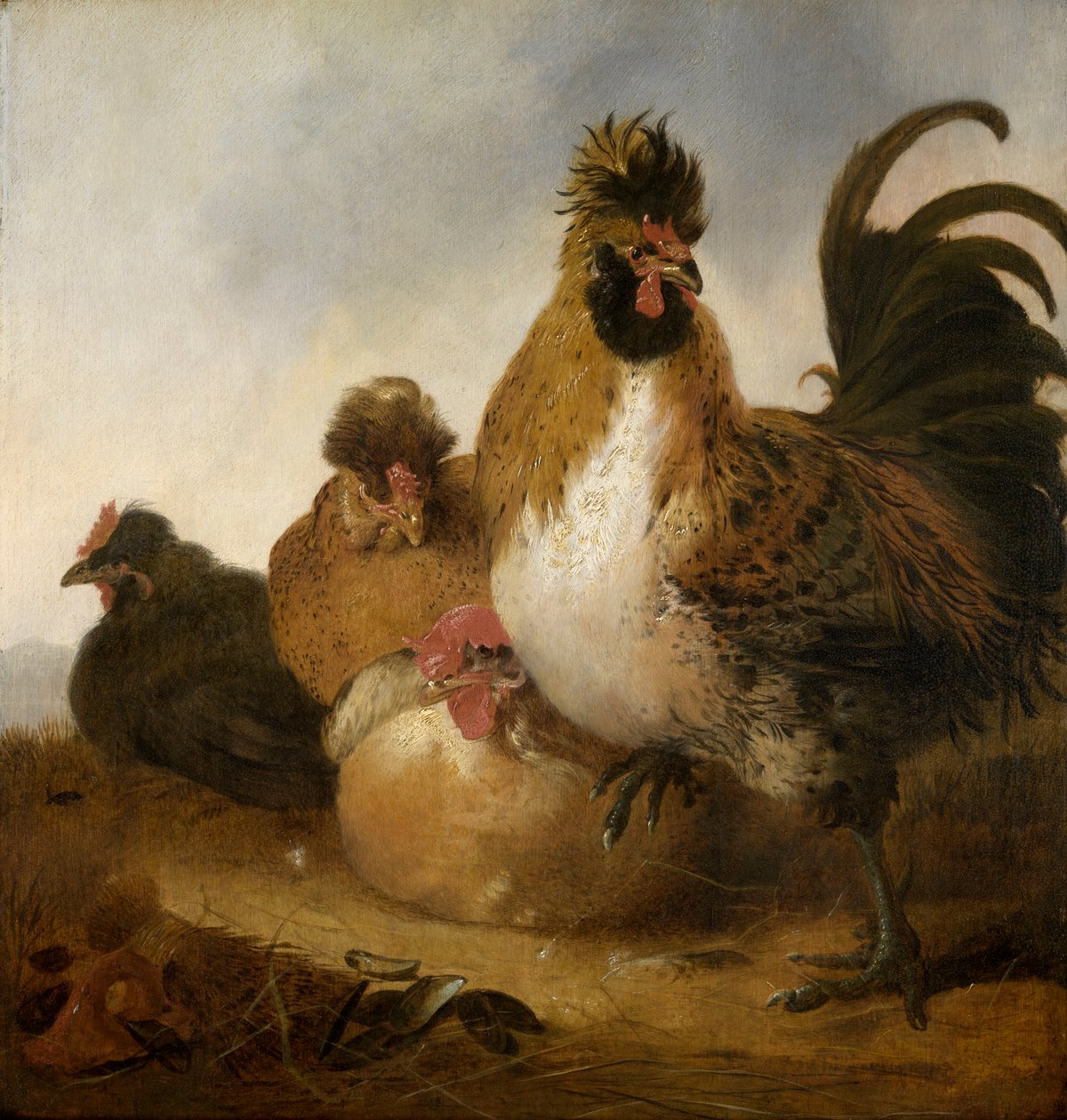 Kogut i kury (olej na desce) autorstwa Aelbert Cuyp