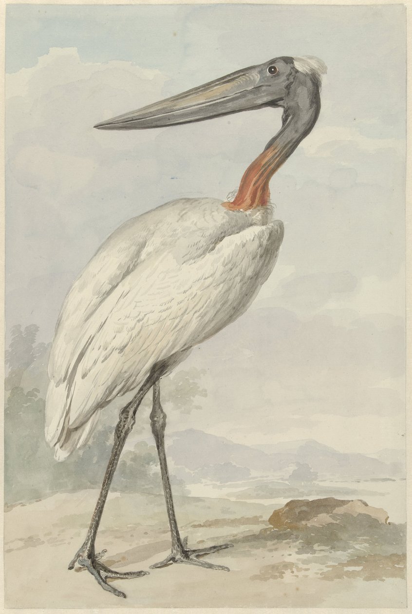 Jabiroe (mikteria Jabiroe) autorstwa Aert Schouman