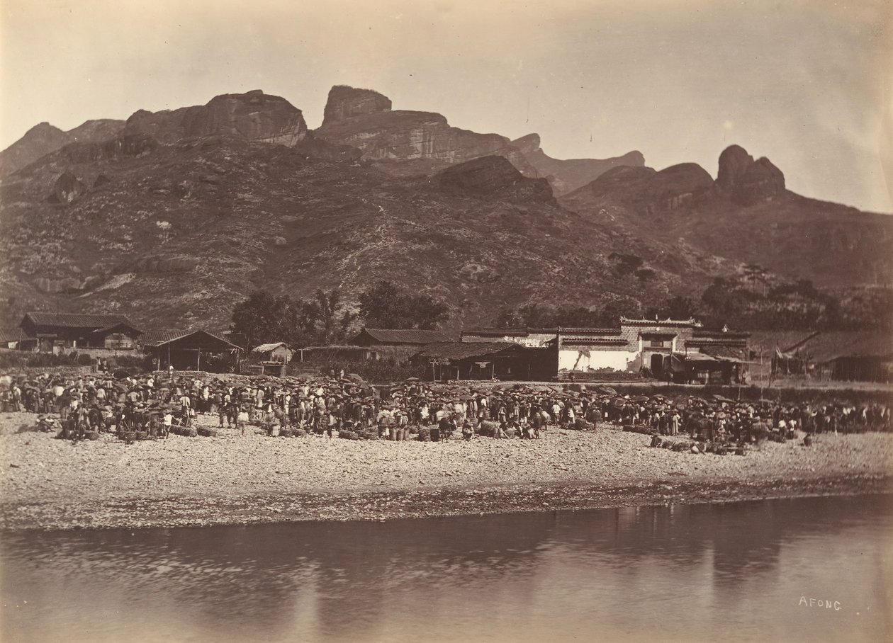 Targ kaczek, ok. godz. 1869. autorstwa Afong Lai