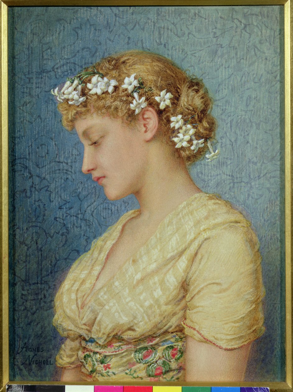 Stephanotis autorstwa Agnes Nicholl