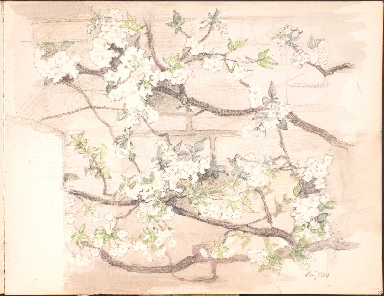 Album. lipiec 1899 - czerwiec 1901 autorstwa Agnes Slott Møller
