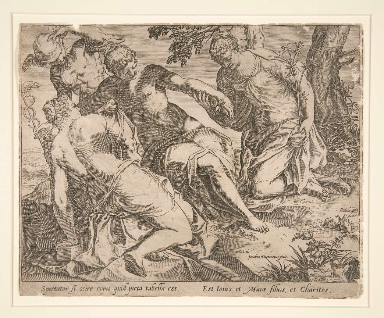 Merkury i trzy łaski autorstwa Agostino Carracci