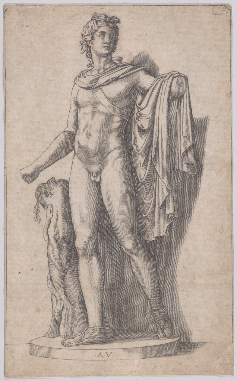 Apollo, ca. 1514-36. autorstwa Agostino Veneziano