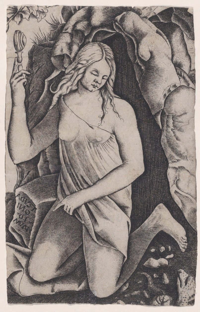 Św. Małgorzata, CA. 1514-36. autorstwa Agostino Veneziano