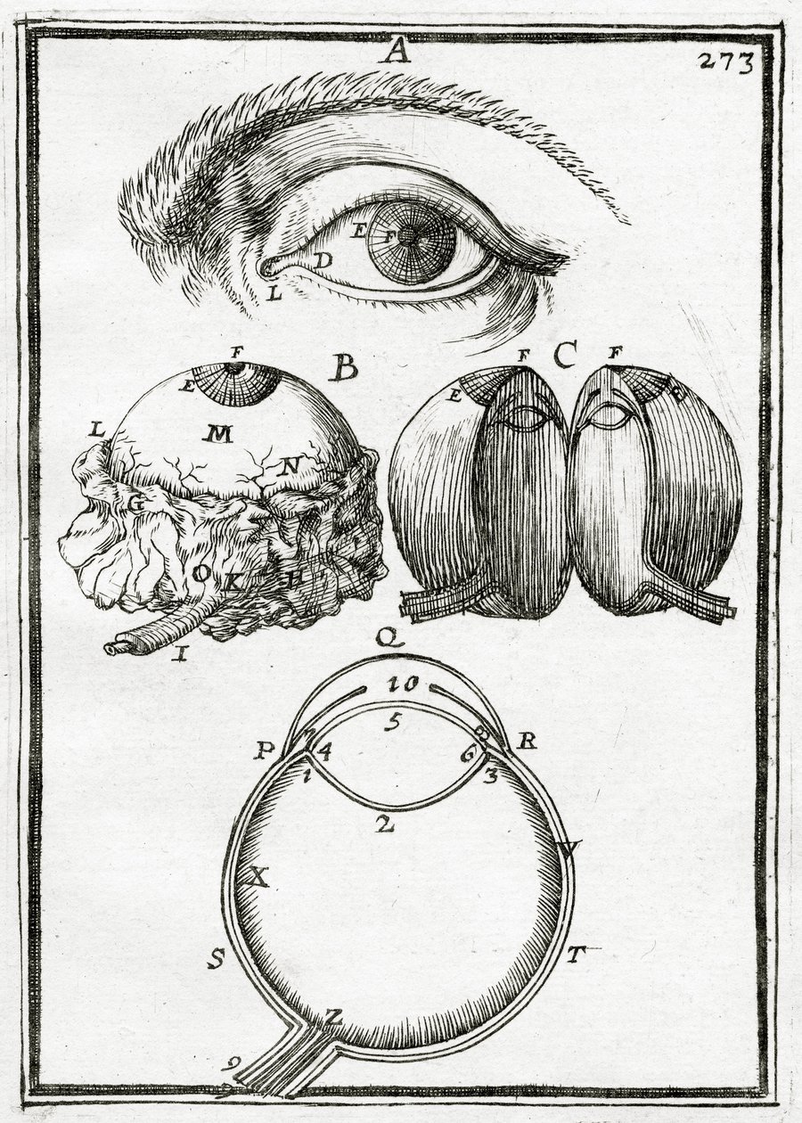 Ilustracja z La Geometrie Pratique 1702, autorstwa Alain Manesson Mallet