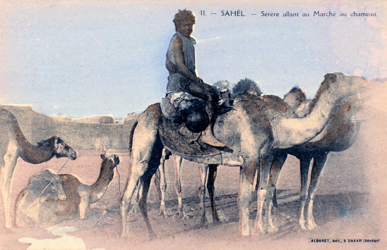 Serere, Sahel, Senegal, XX wiek autorstwa Albaret
